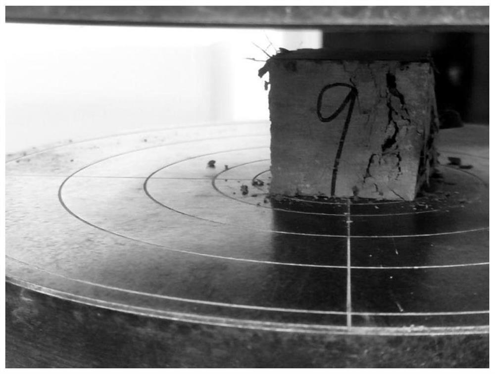 Self-compacting concrete based on ultrasonic concussion technology and preparation method of self-compacting concrete