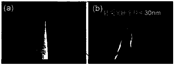 Preparation method of metal probe