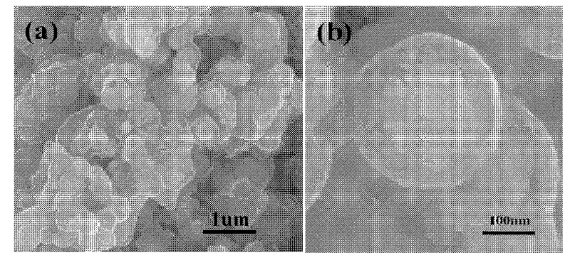 Core-shell type magnetic mesoporous nano-microsphere as well as preparation method and application thereof