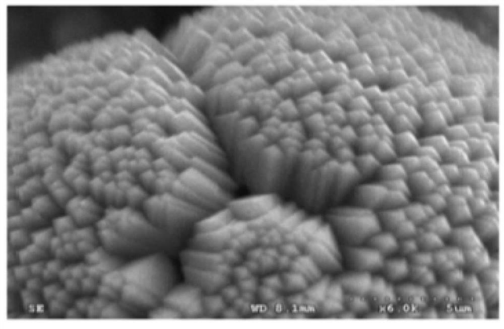 A kind of cathode of low ESR tantalum electrolytic capacitor and preparation method thereof