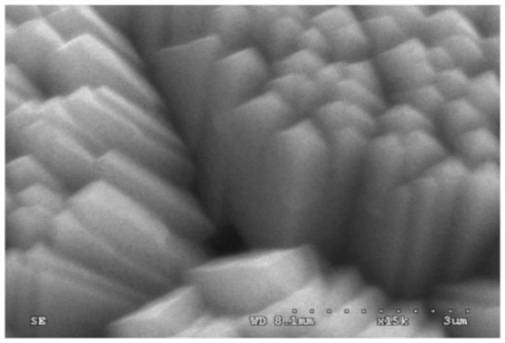 A kind of cathode of low ESR tantalum electrolytic capacitor and preparation method thereof