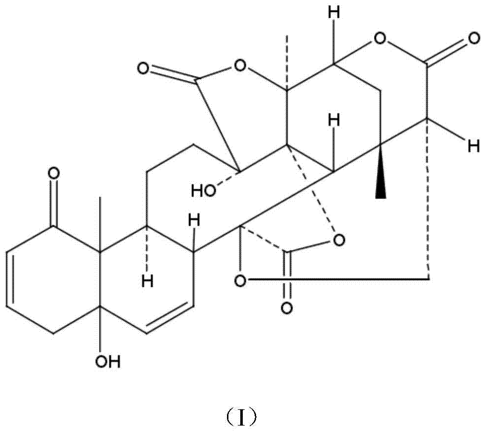 Application of Physalis P in the Preparation of Medicines for Treating Chronic Obstructive Pulmonary Disease