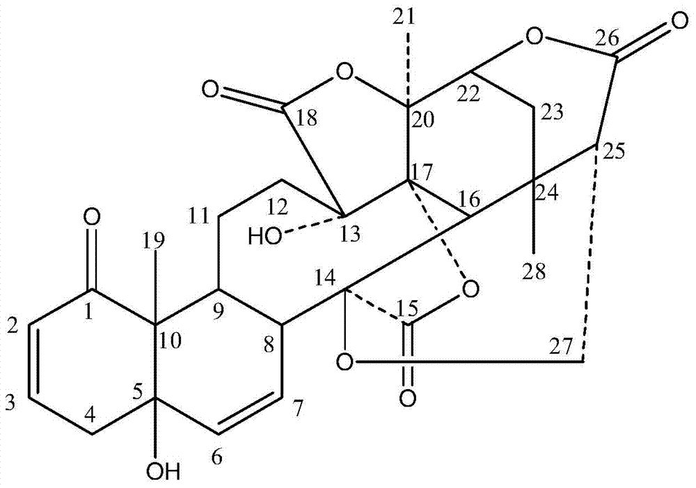 Application of Physalis P in the Preparation of Medicines for Treating Chronic Obstructive Pulmonary Disease