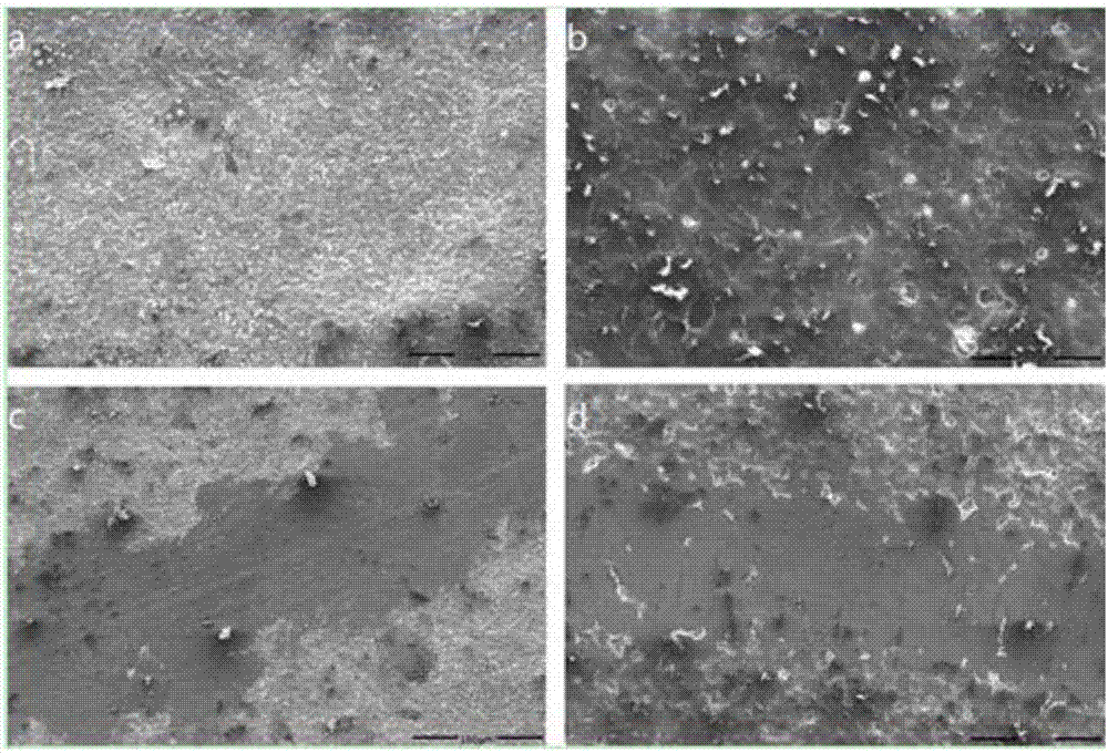 Self-lubricating wear-resistant compound coating on surfaces of titanium and titanium alloy and preparation method thereof