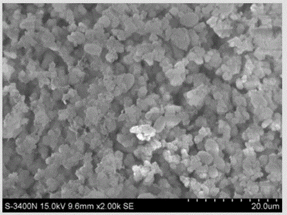 Preparation method of magnetic biological microcapsule for processing organic matters and ammonia nitrogen in water