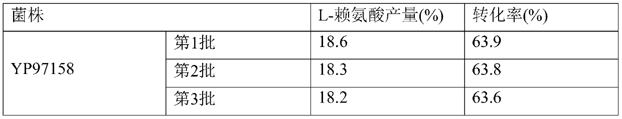 Recombinant bacterial strain for high-yield production of L-lysine, and construction method and application of recombinant bacterial strain