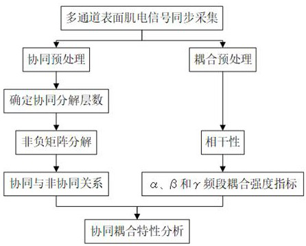 Post-stroke upper limb intermuscular collaborative coupling analysis method