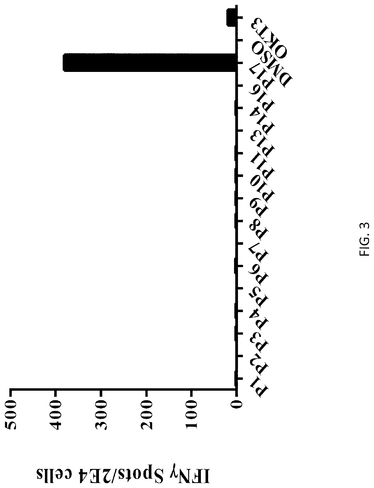 HLA class II-restricted T cell receptors against mutated RAS