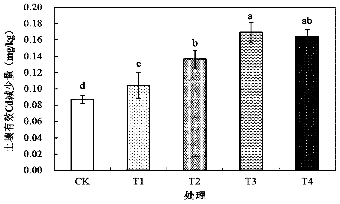 Plant efficient remediation method for cadmium standard-exceeding soil of sunlight greenhouse