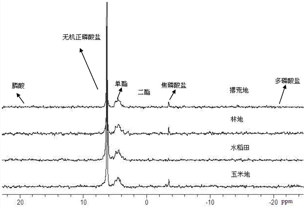 Method for detecting phosphorus component in soil by using BD-liquid 31PNMR (pulse nuclear magnetic resonance)