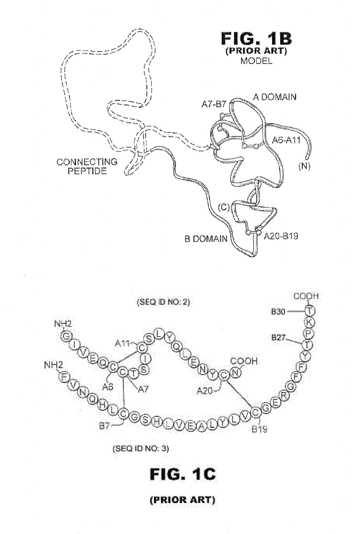 Insulin analogues with a glucose-regulated conformational switch