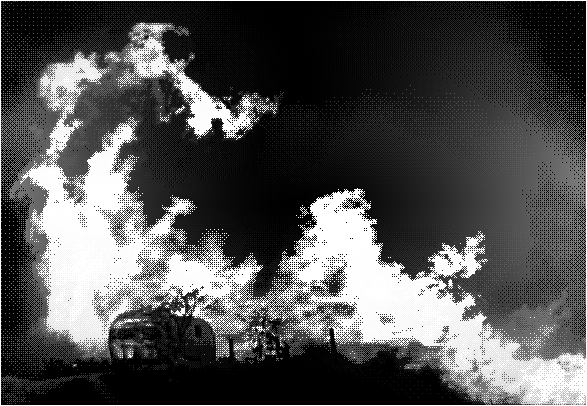 Method for recognizing fire disaster of power transmission line based on video variance analysis