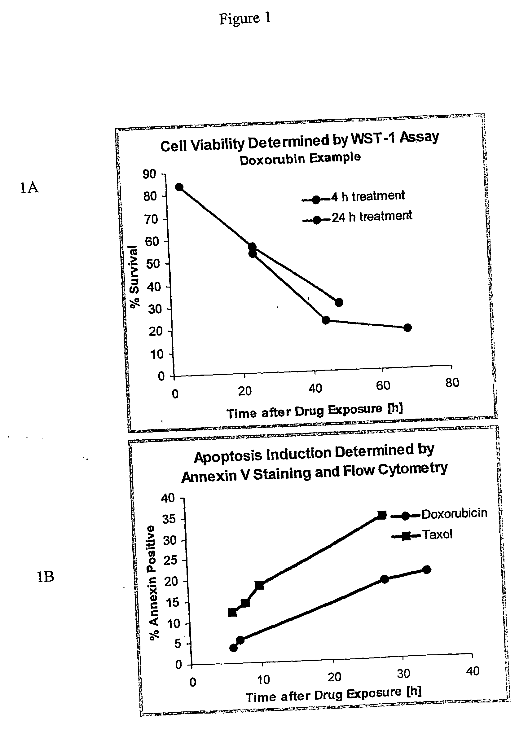 Binding agents and their use in targeting tumor cells