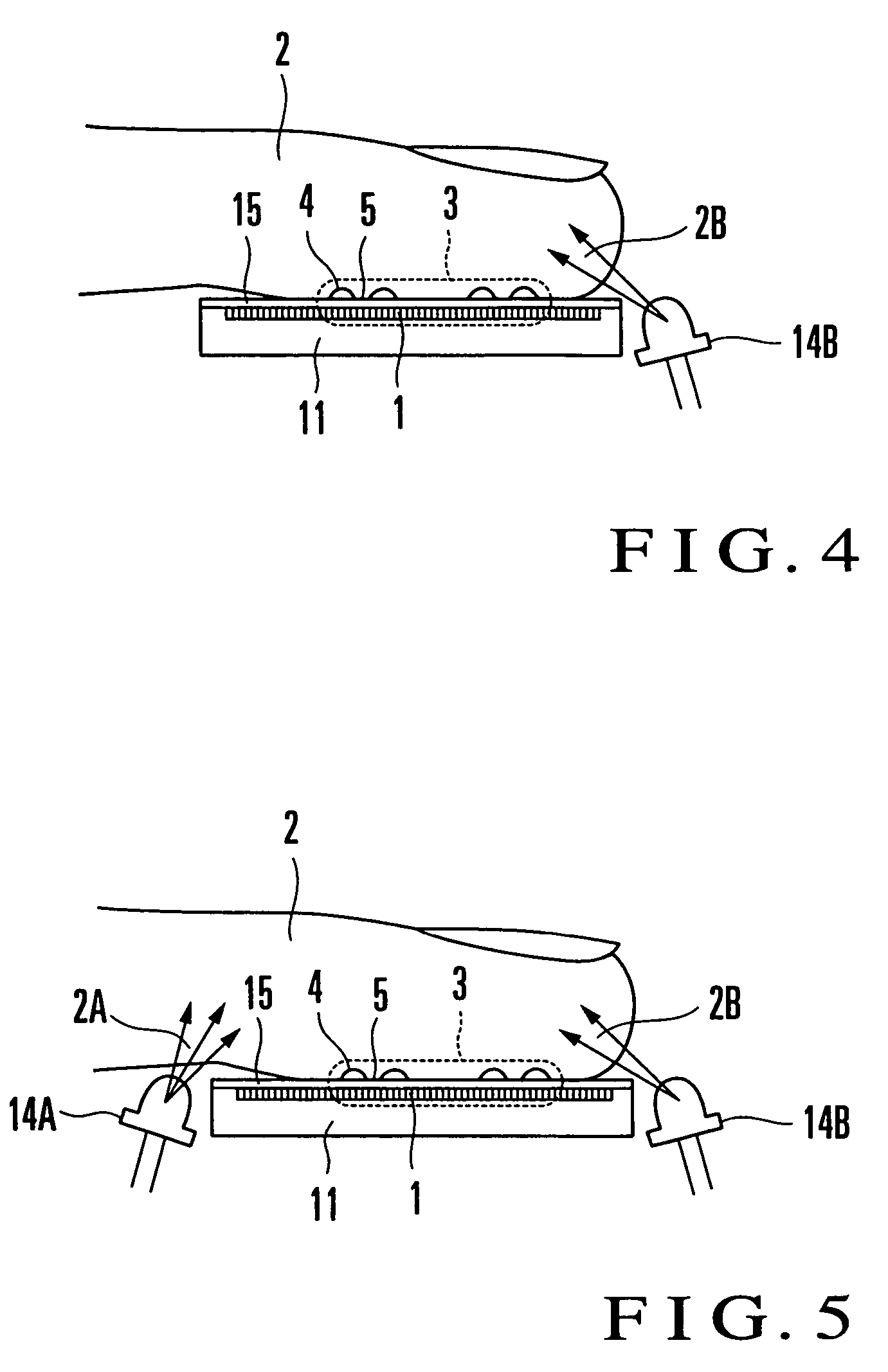 Fingerprint input apparatus