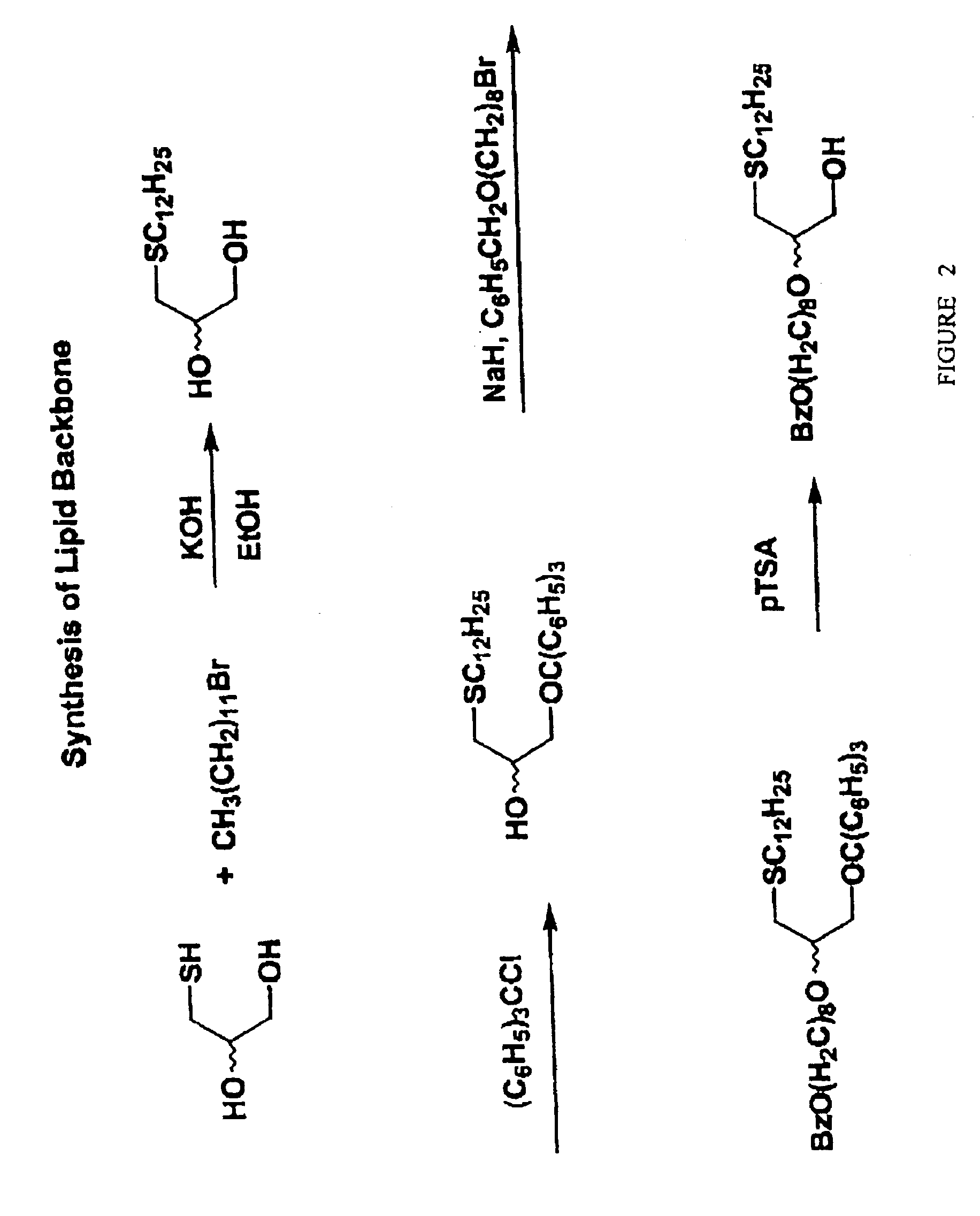 Compositions and methods of double-targeting virus infections and cancer cells