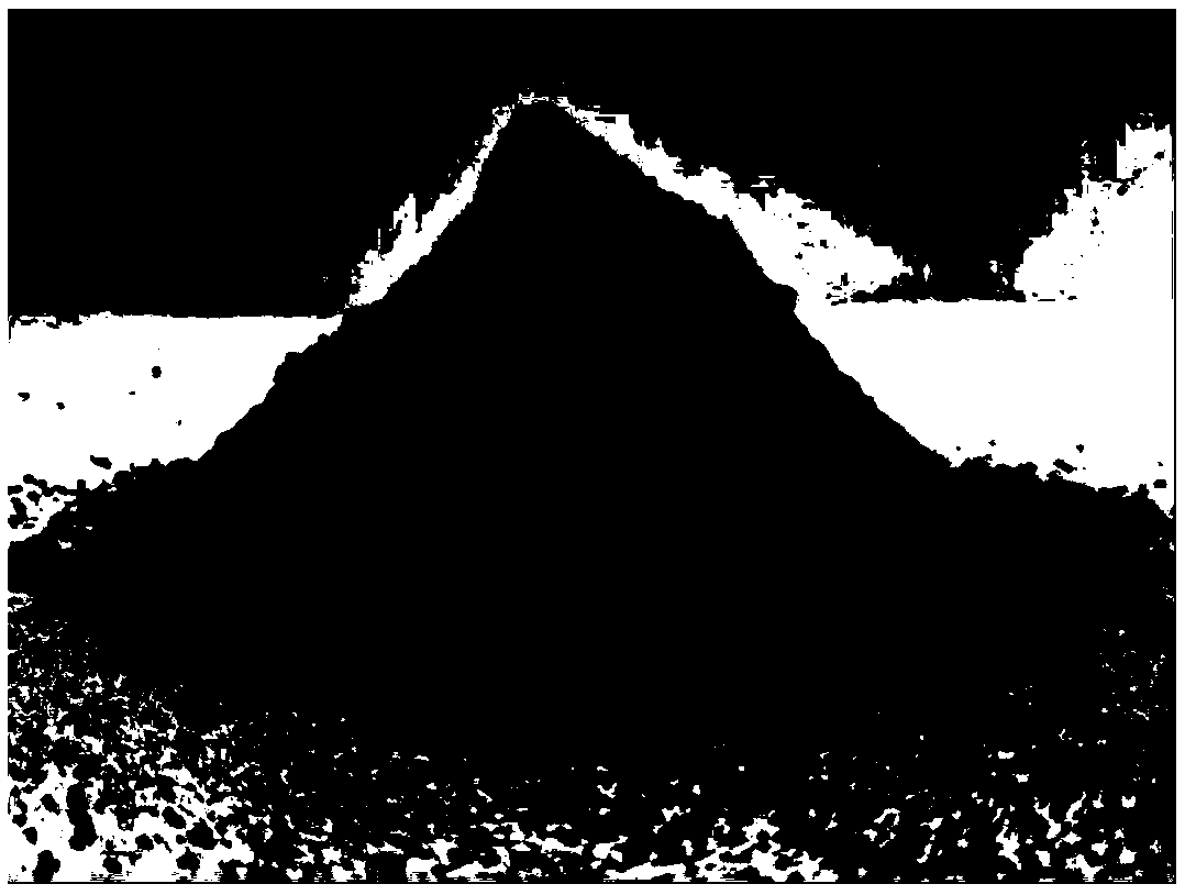 Magnetic-sensitive simulated star loam and preparation method thereof