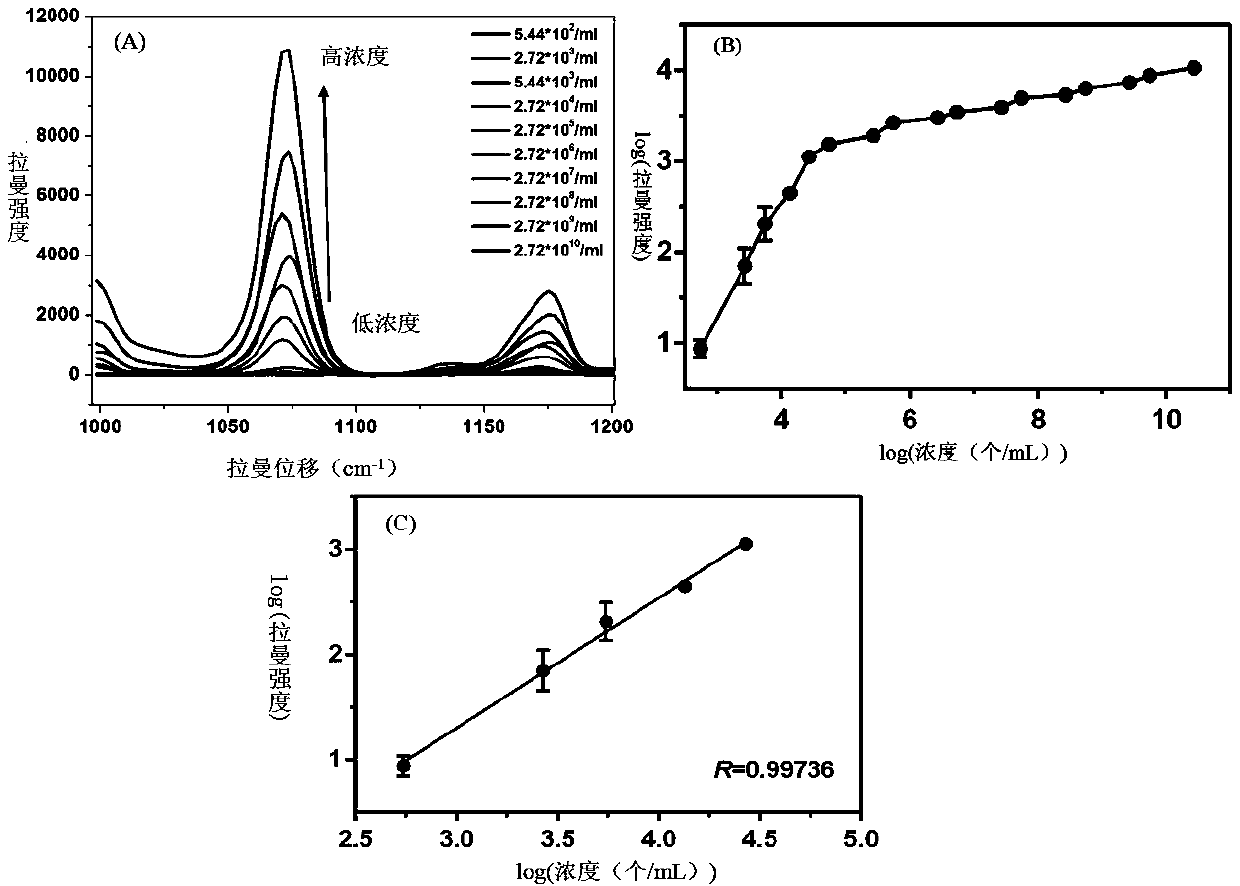 SERS probe and substrate labeled by multiple antibodies as well as preparation method and application of SERS probe and substrate