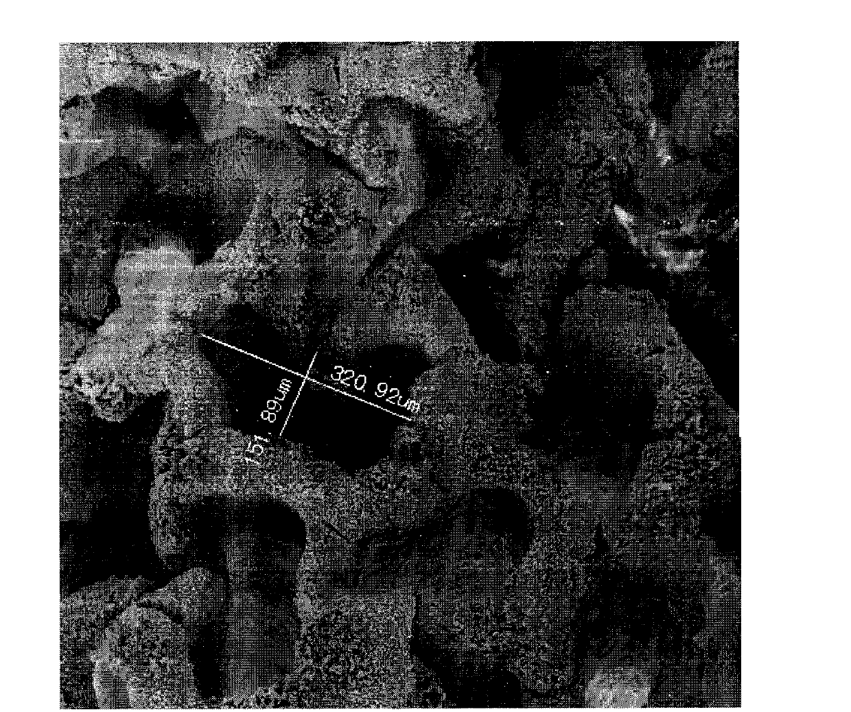 Method for collecting bolete spores