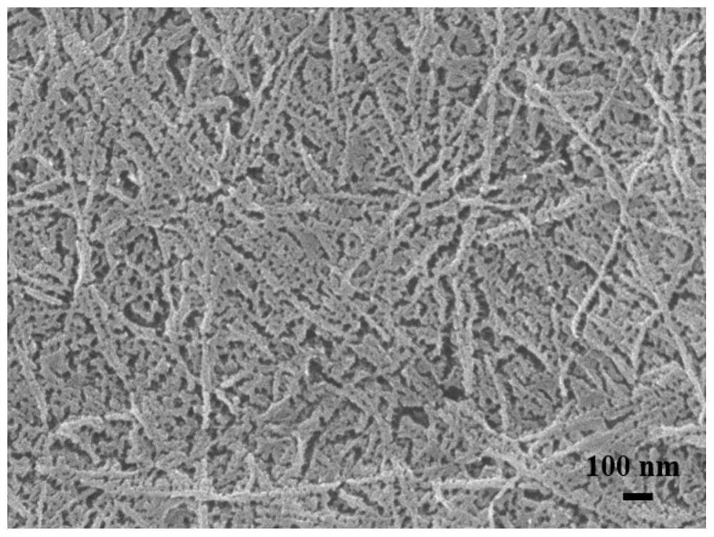 A preparation method of palladium-cellulose membrane capable of simultaneous emulsion separation and dye degradation