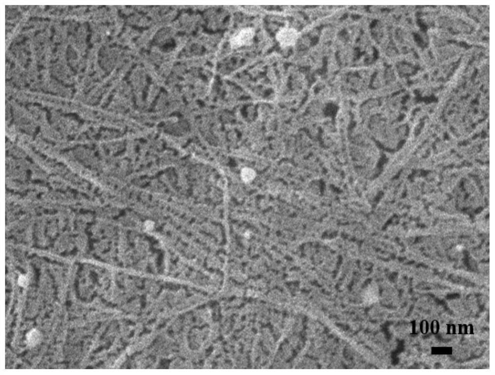 A preparation method of palladium-cellulose membrane capable of simultaneous emulsion separation and dye degradation