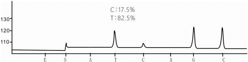 Primer for detecting low-frequency mutation of epidermal growth factor receptor gene T790M and application of primer