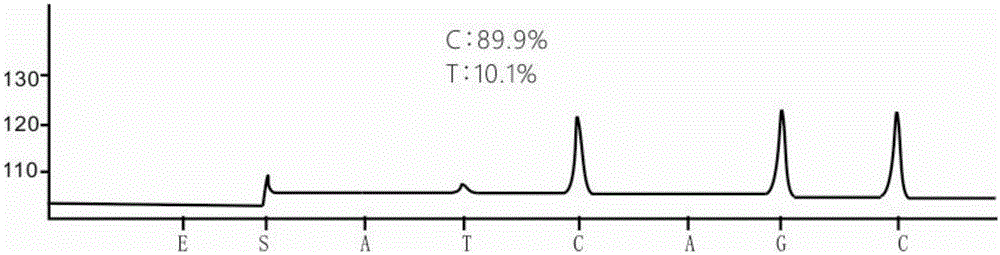 Primer for detecting low-frequency mutation of epidermal growth factor receptor gene T790M and application of primer