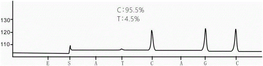 Primer for detecting low-frequency mutation of epidermal growth factor receptor gene T790M and application of primer