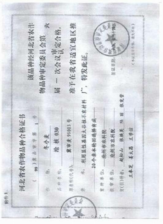 Method for cultivating wheat cultivar