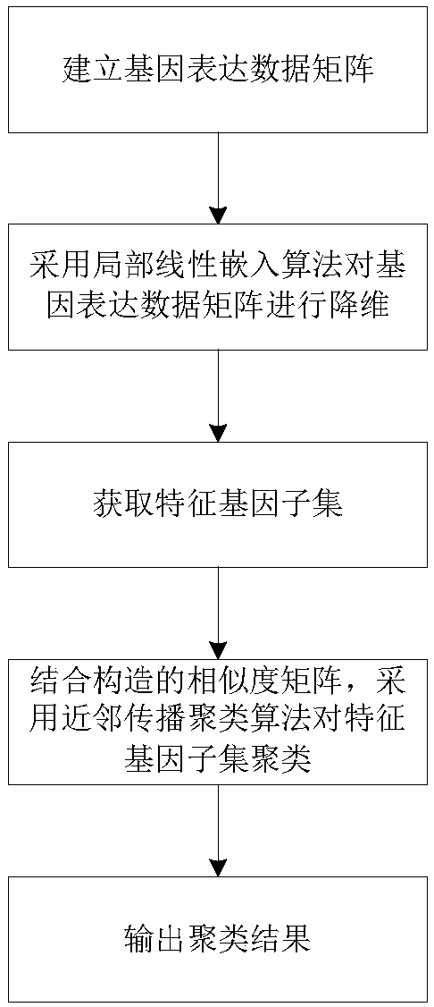 Gene classification method and device