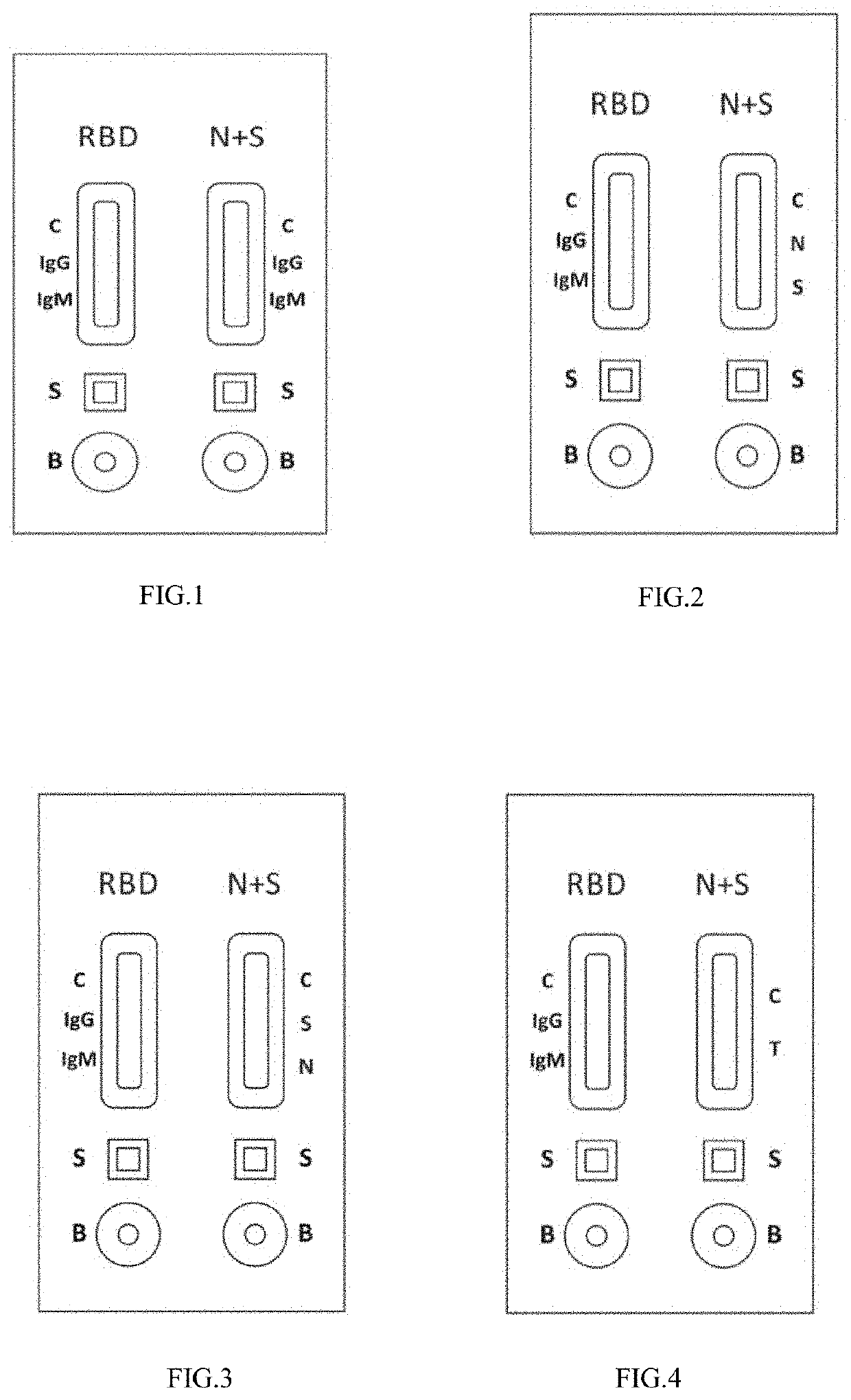 Lateral flow detection device for detecting a coronavirus by immunoassay