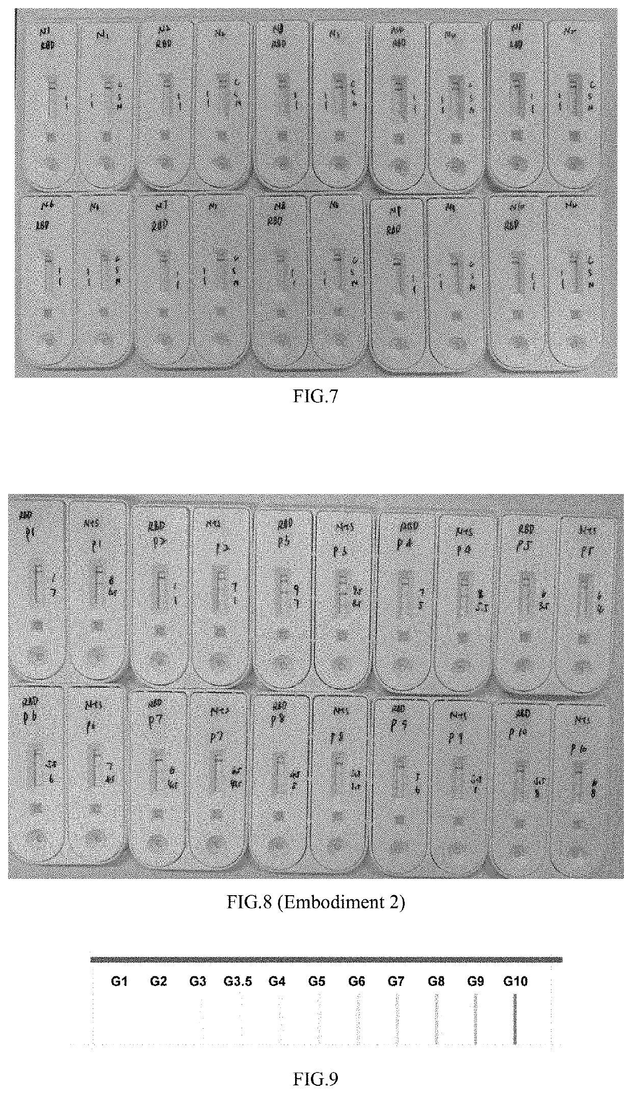 Lateral flow detection device for detecting a coronavirus by immunoassay