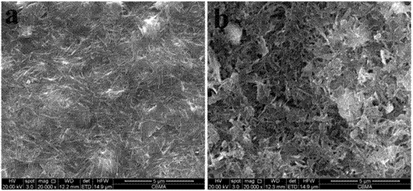 Multi-passage-structure and high-adsorption-performance sepiolite/TiO2 composite material and preparation method thereof