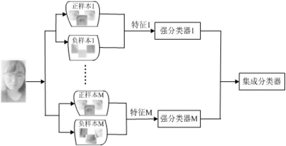 Real time driver fatigue warning system based on multi-source information fusion