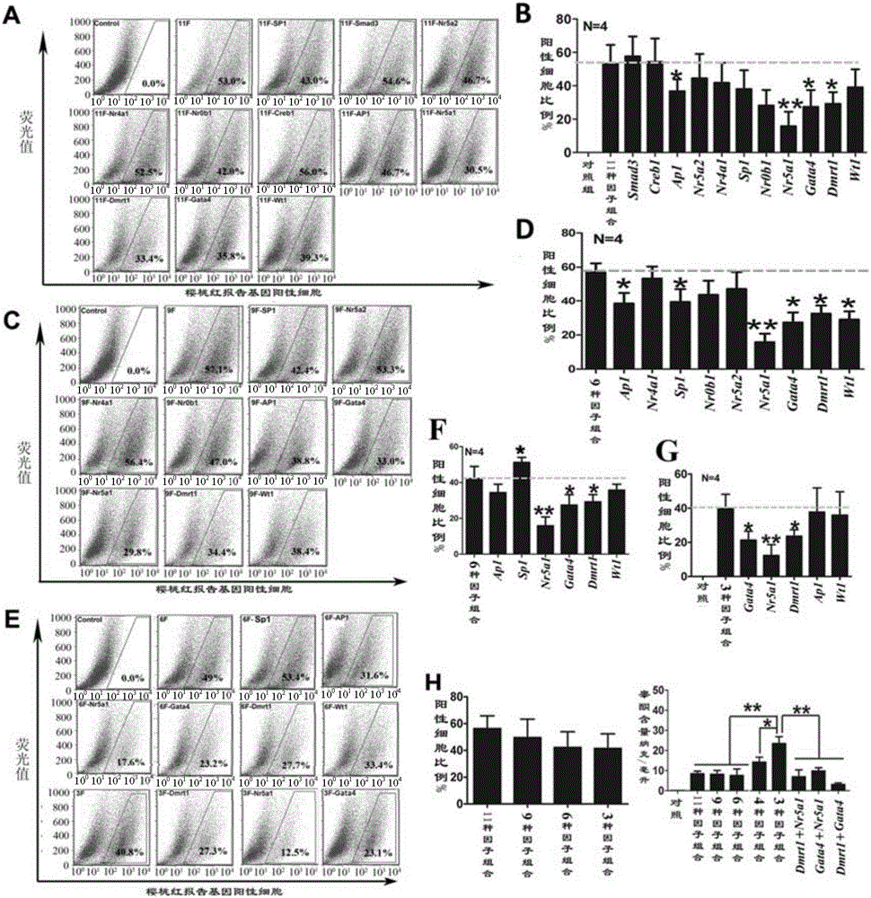 Method for inducing transdifferentiation of fibroblast into similar testicular interstitial cells by combination of transcription factors