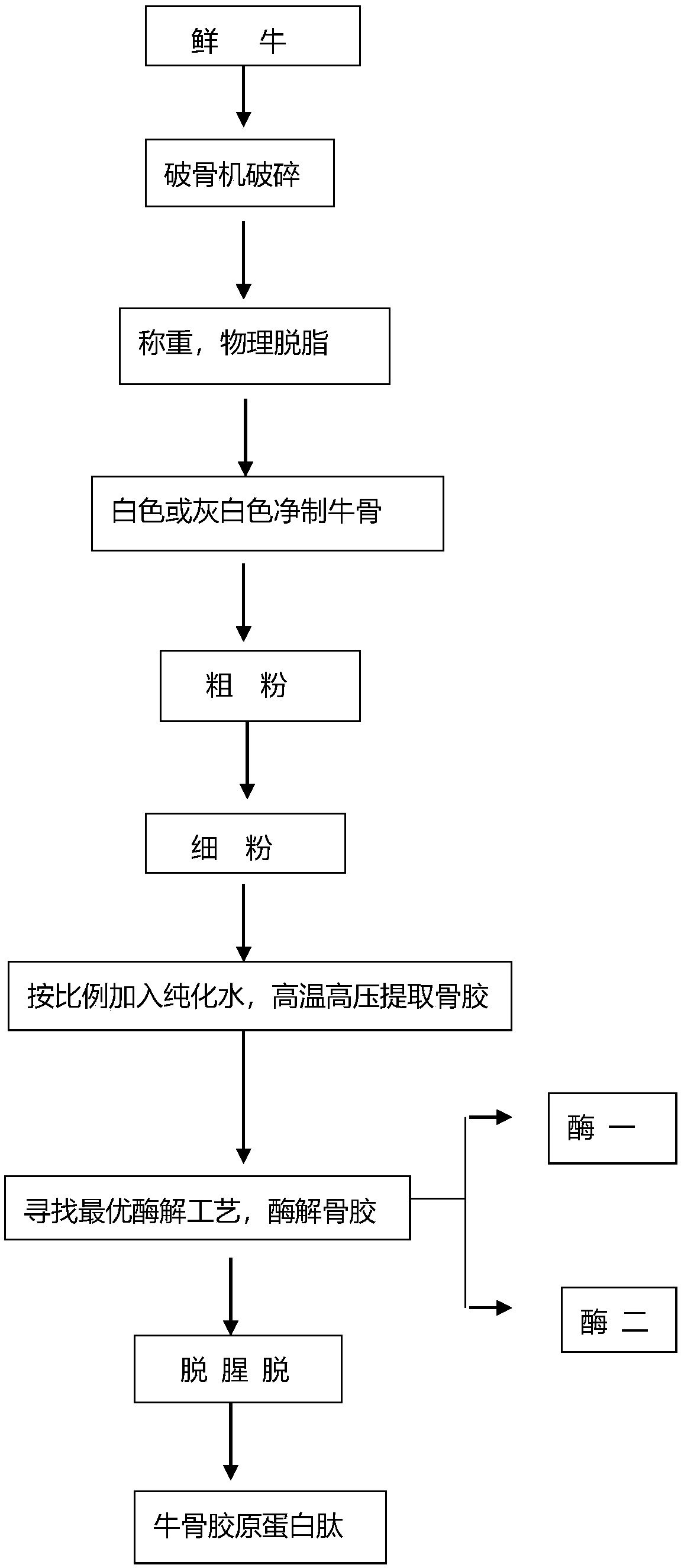 A bovine bone collagen peptide and a preparation method thereof and use