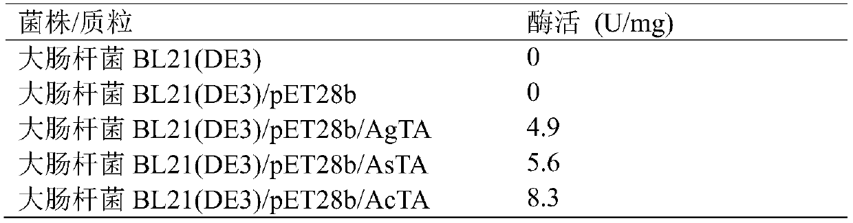 Alpha-aminopherase and mutant and application of alpha-aminopherase and mutant to asymmetric synthesis of L- glufosinate-ammonium