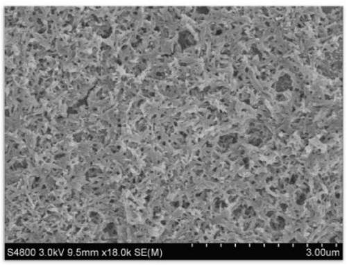 A kind of preparation method of three-dimensional network ammonium vanadate nanocrystal