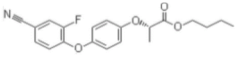 Compound herbicide containing saflufenacil, cyhalofop-methyl and penoxsulam and its application