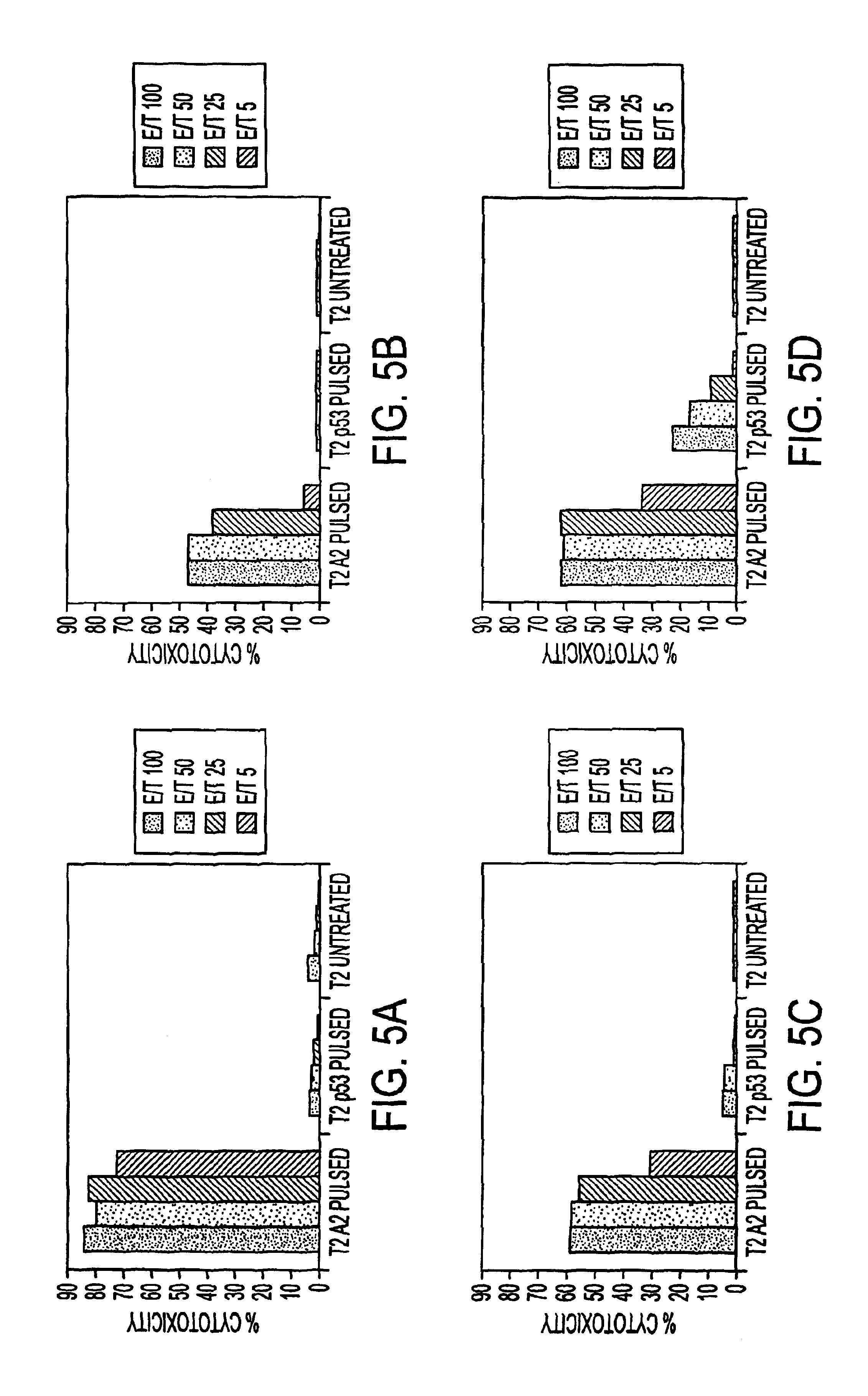 Immuno-reactive peptide CTL epitopes of human cytomegalovirus