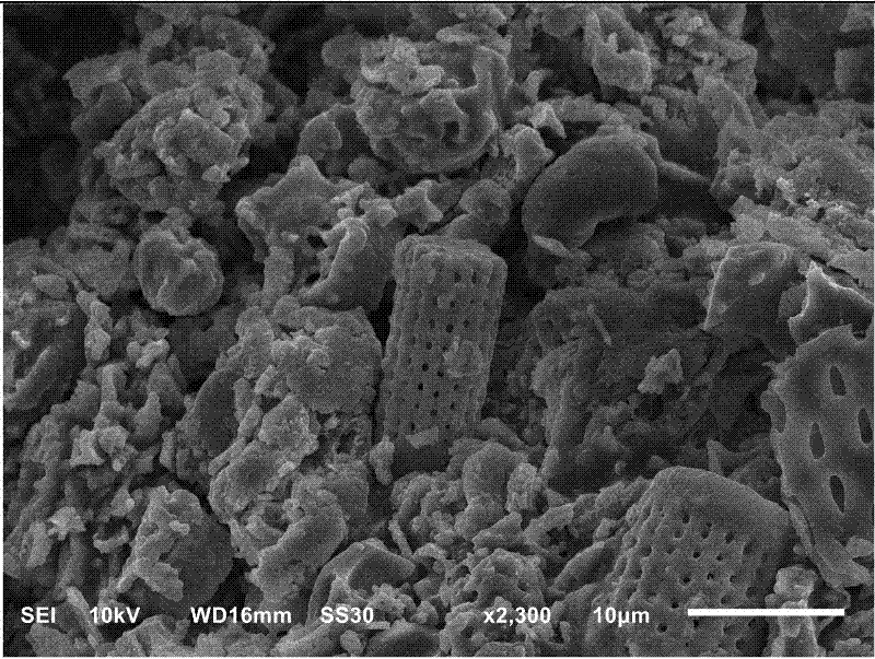 Preparation method for modified kieselguhr composite adsorbing material