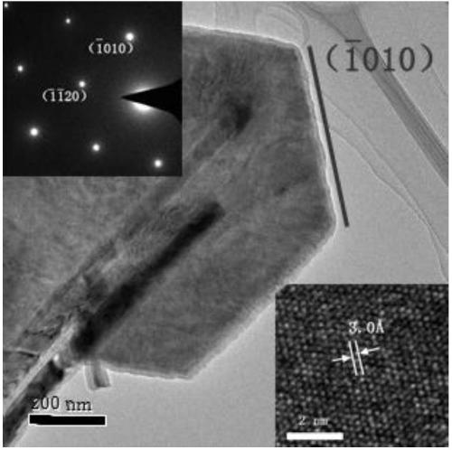 Synthesis device and synthesis method for NbSe2 monocrystal layered nanosheet