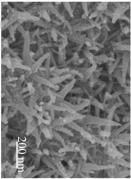 Preparation method of gold-iron oxyhydroxide-cuprous oxide-copper sulfide composite paper