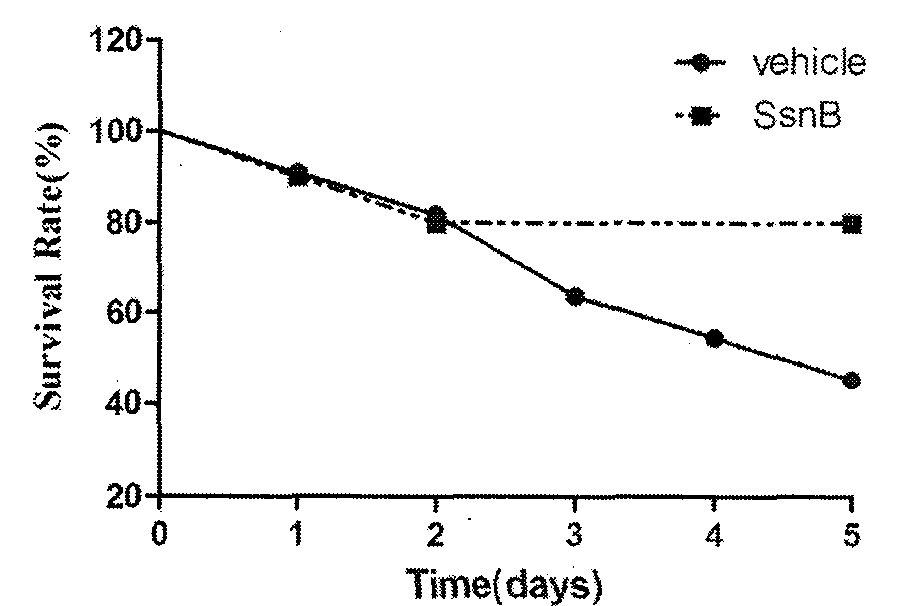 Application of Sparstolonin B in preparation of drugs for treating cerebral hemorrhage