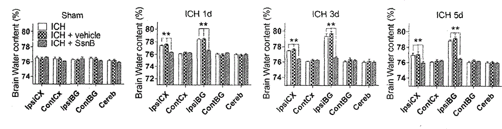 Application of Sparstolonin B in preparation of drugs for treating cerebral hemorrhage