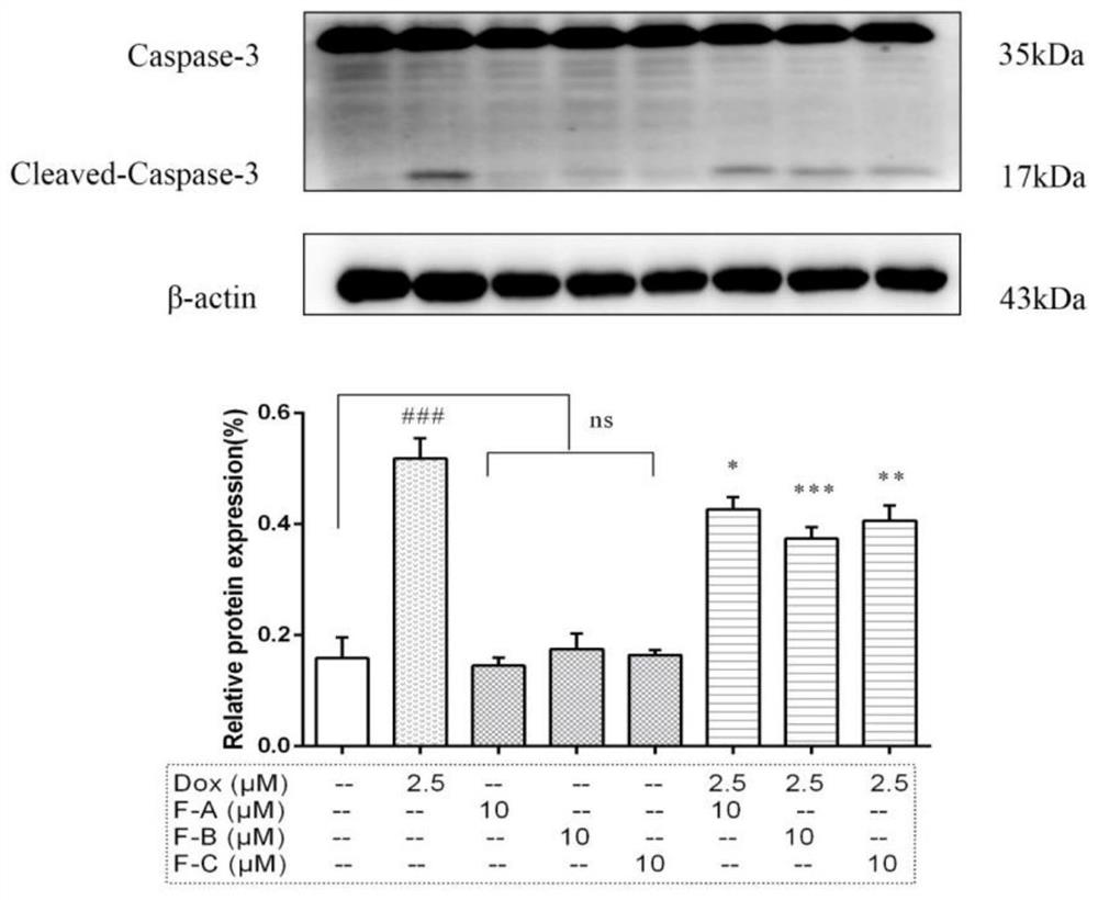 Application of compound F-B in preparation of product for preventing and/or treating heart injury