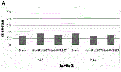 Method and apparatus for detecting immunogen