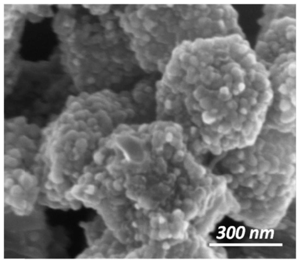 co  <sub>2</sub> Carbon-containing iron-based catalyst for hydrogenation of hydrocarbons and preparation method thereof