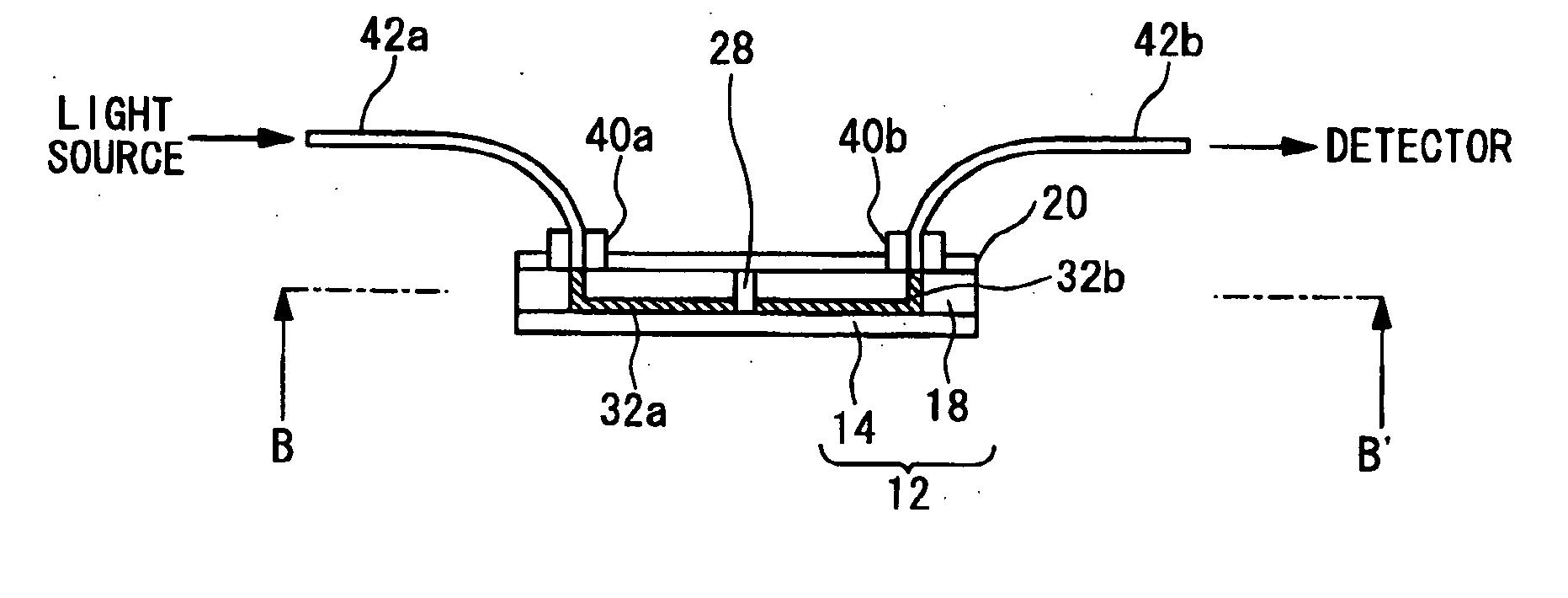 Microchip, method of manufacturing microchip, and method of detecting compositions