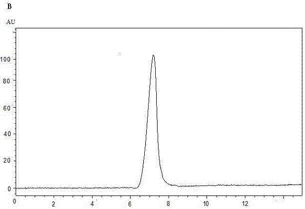 Radix arnebiae polysaccharides and application thereof to preparation of anti-complement drugs