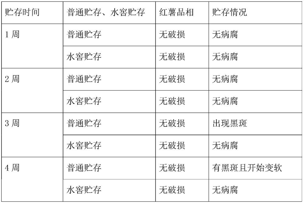 Sweet potato water cellaring device and method